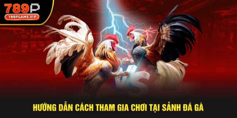 Hướng dẫn tham gia sảnh cược chiến kê cùng 789P